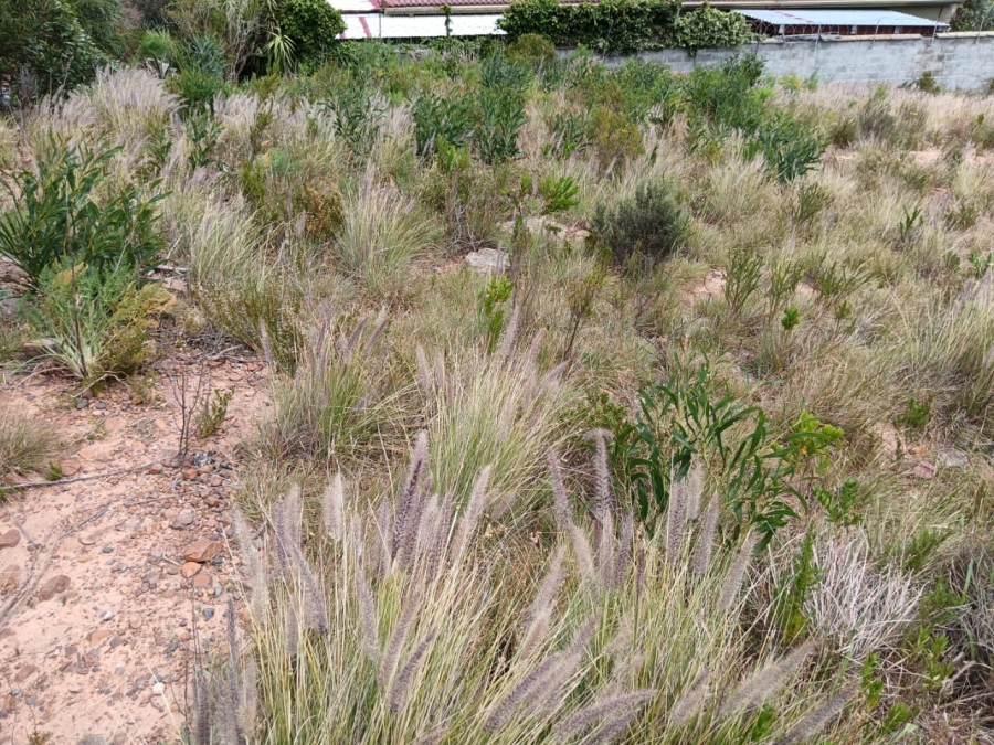 0 Bedroom Property for Sale in Mountainside Western Cape